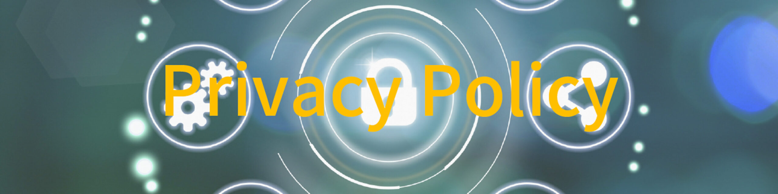 プライバシーポリシー MV